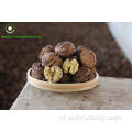 Walnut Kernels Light Quarters (LQ) van Yunnan
